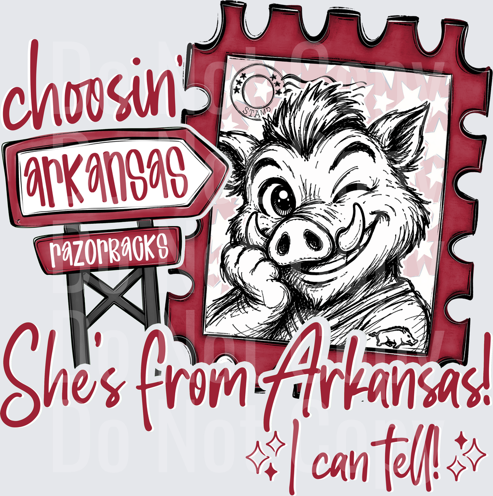 Choosin Shes Arkansas (DTF)