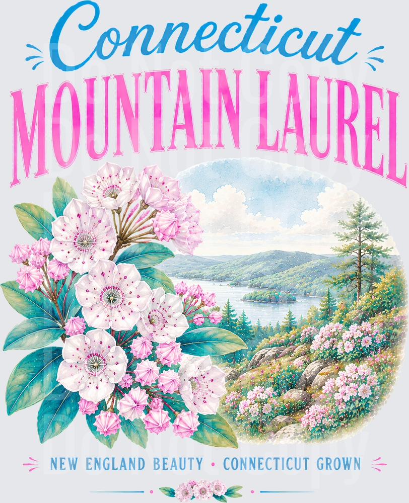 CT mountain laurel (DTF)
