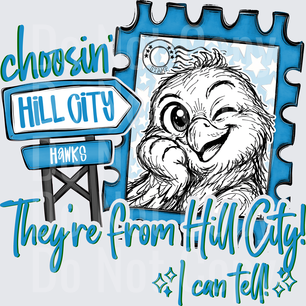 Choosin Hill City Hawks (DTF)