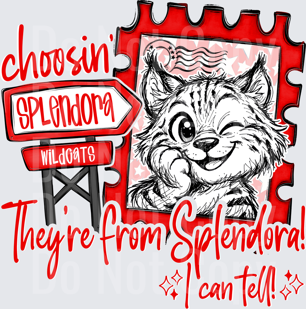 Choosin Spendora Wildcats (DTF)