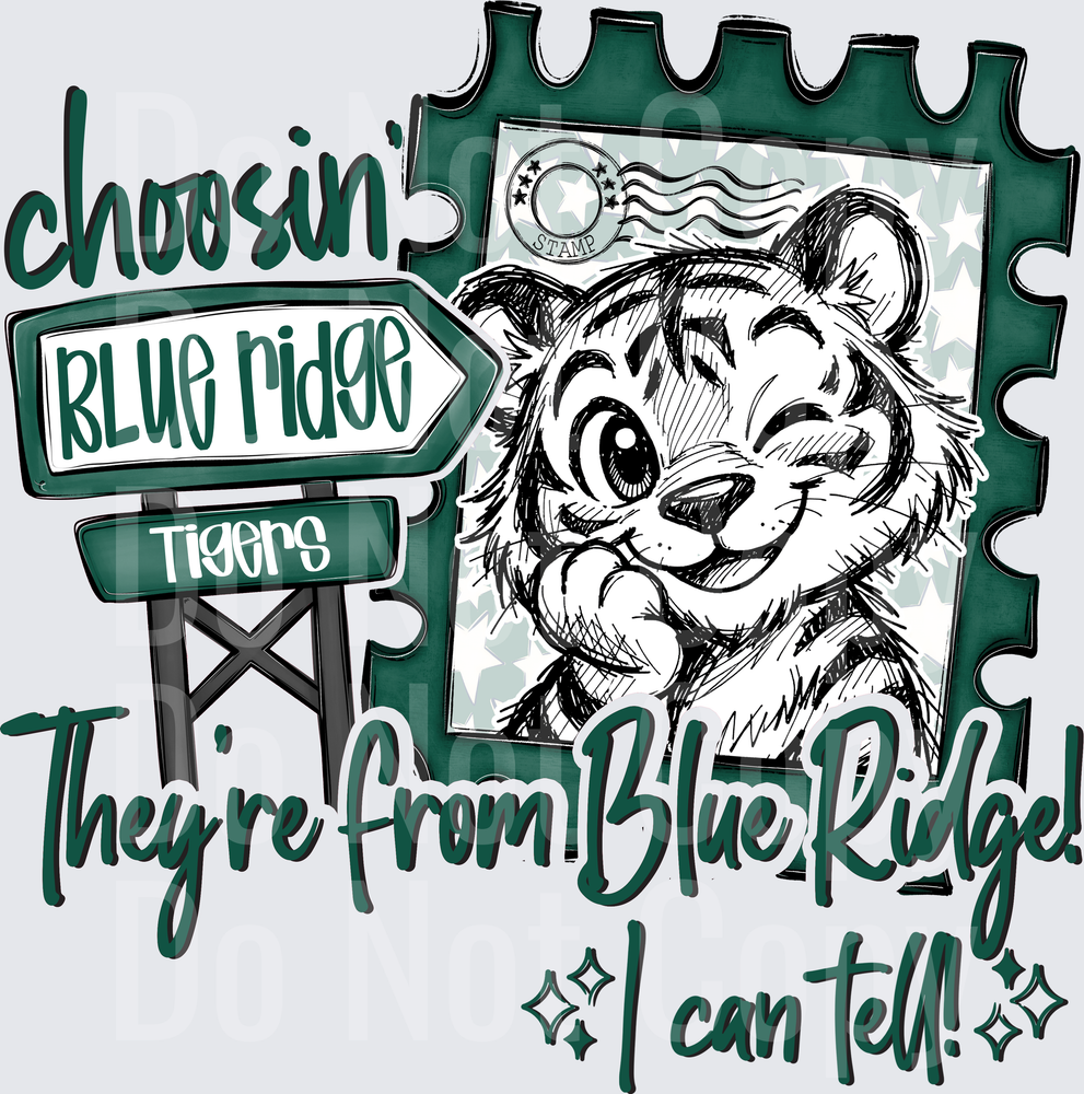 Choosin Blue Ridge Tigers (DTF)