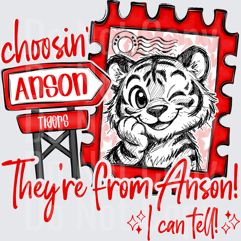 Choosin Anson Tigers (DTF)
