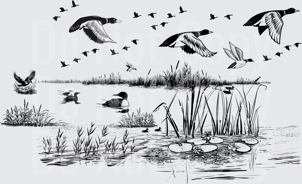 Black and White Wetland Duck Scene with Loons (DTF)