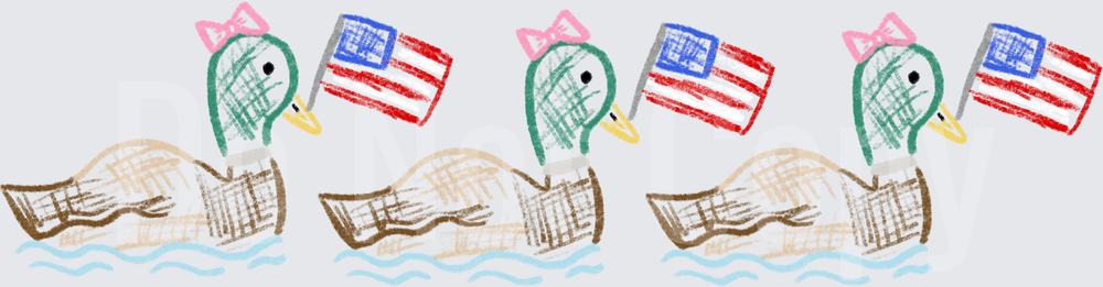 Duck with American Flag and Pink Bow Sketch Design (DTF)
