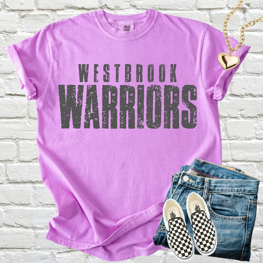 Distressed School Name - ‼️FULLY CUSTOMIZABLE‼️Transfer