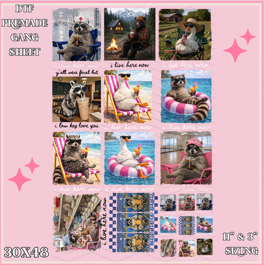 Im Livin Here - 30x48 - PREMADE GANG SHEET