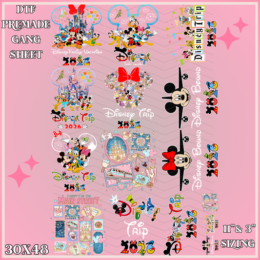 Magical Adult 2026 - 30x48 - PREMADE GANG SHEET