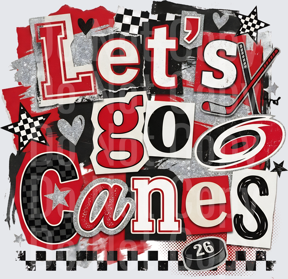 Lets Go Canes (DTF)