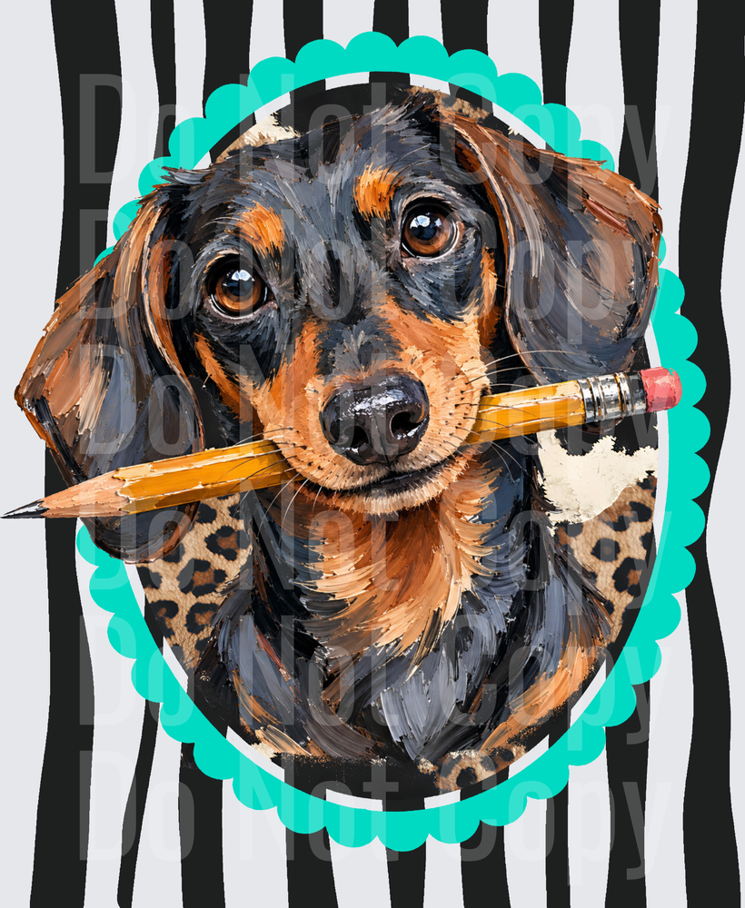 Dachshund Holding Pencil Teal Scallop Frame Zebra (DTF)