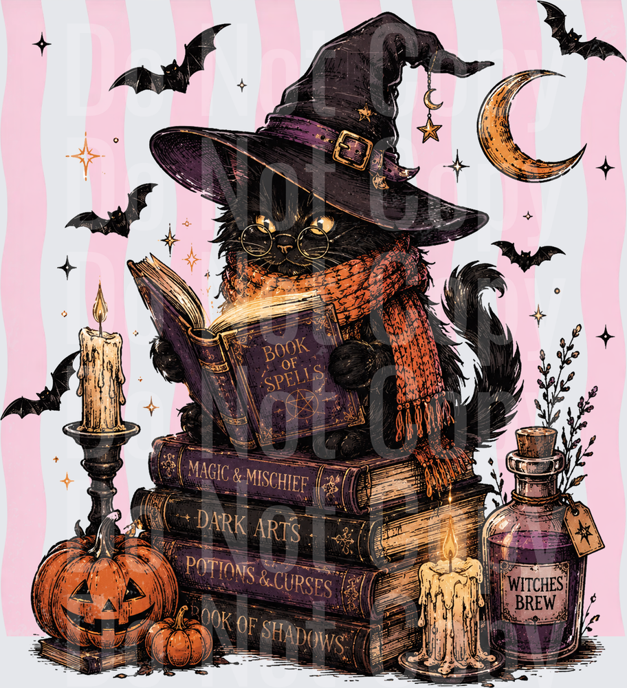 Black Witch Cat Reading Book of Spells Halloween (DTF)