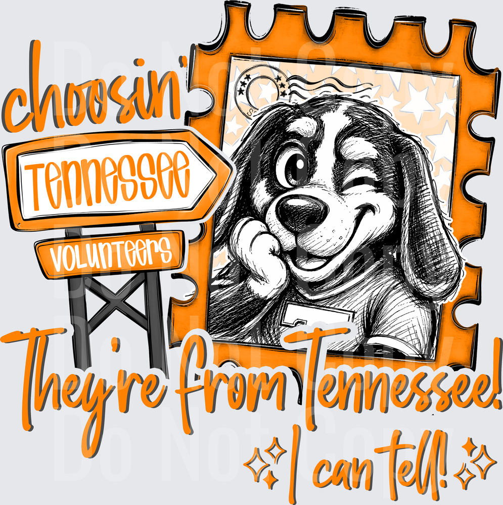 Choosin Theyre From Teen (DTF)