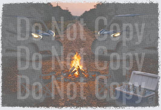 Retro Camping with Campfire and Mountains Scene - DTF