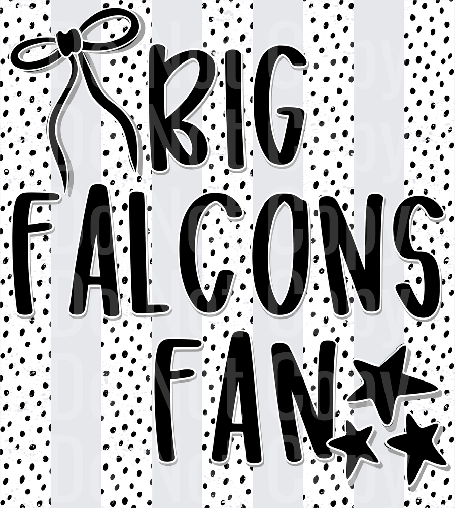Big Falcons Fan (DTF)