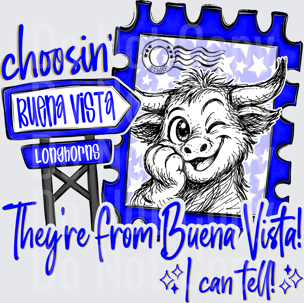 Choosin Buena Vista Longhorns (DTF)