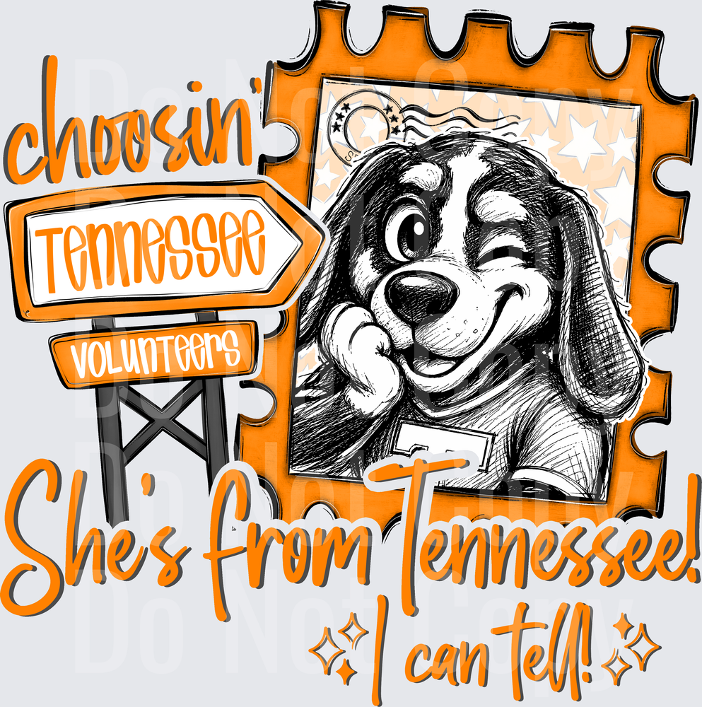 Choosin Tennessee (DTF)