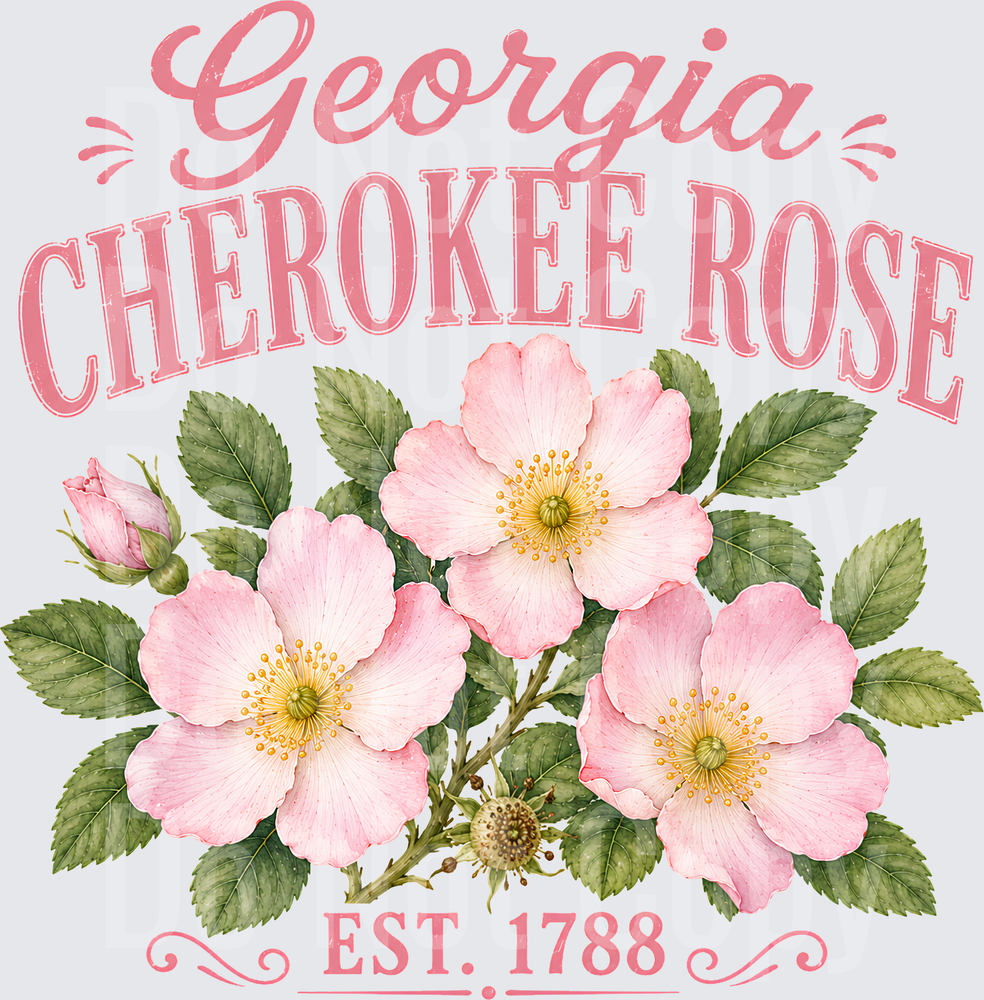 Georgia Cherokee Rose (DTF)
