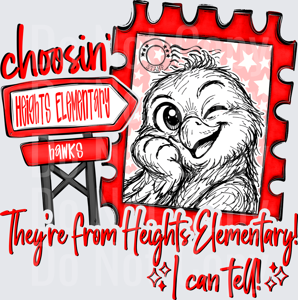 Choosin Heights Elementary Hawks (DTF)