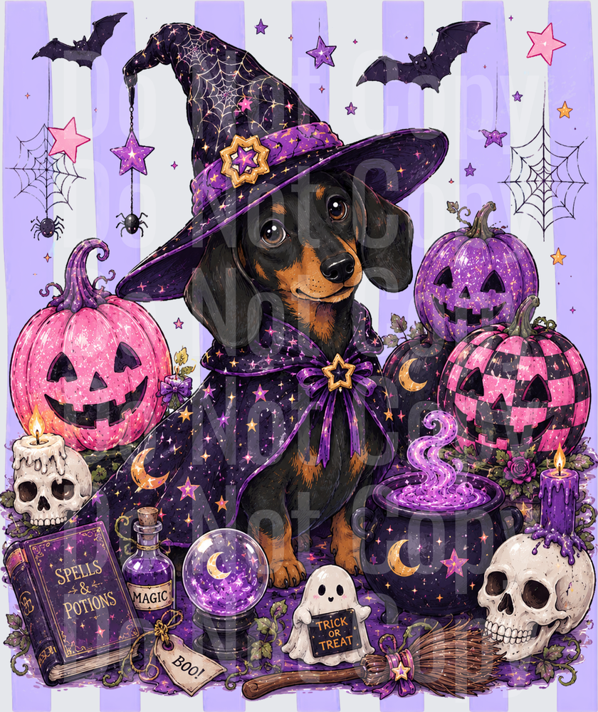 Dachshund Witch Halloween Spells Potions Pumpkins (DTF)
