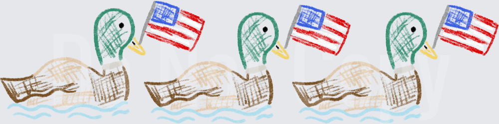 Three Ducks Swimming with American Flags Sketch Style Design (DTF)