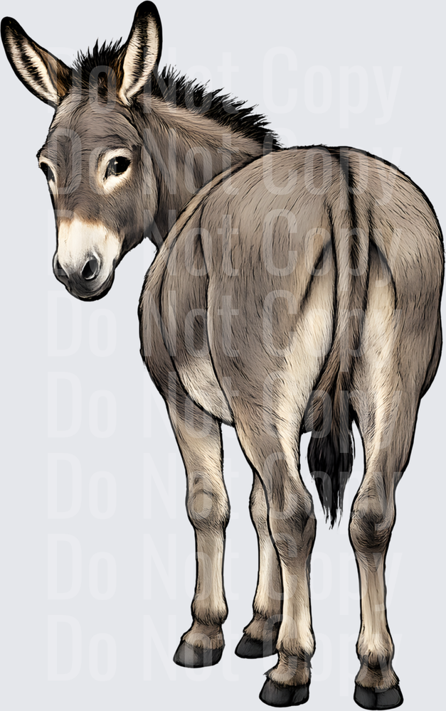 Realistic Gray Donkey Looking Back Over Shoulder (DTF)