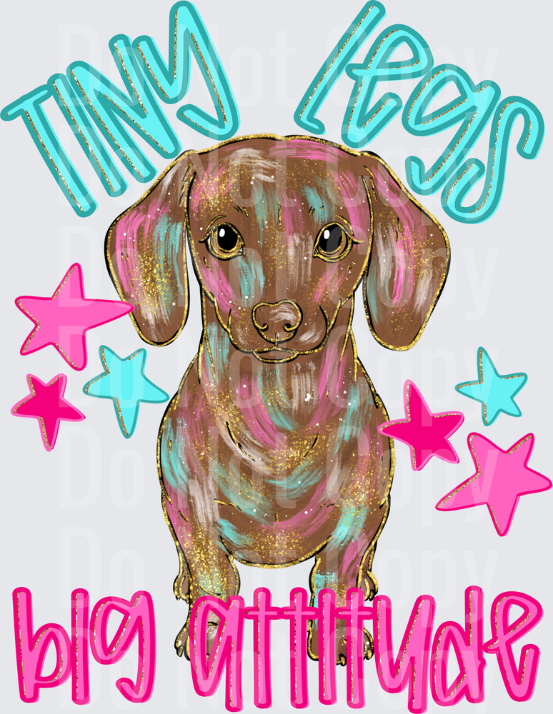 Tiny Legs Big Attitude (DTF)